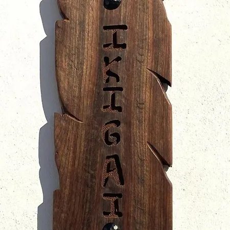 Ikigai * Ye